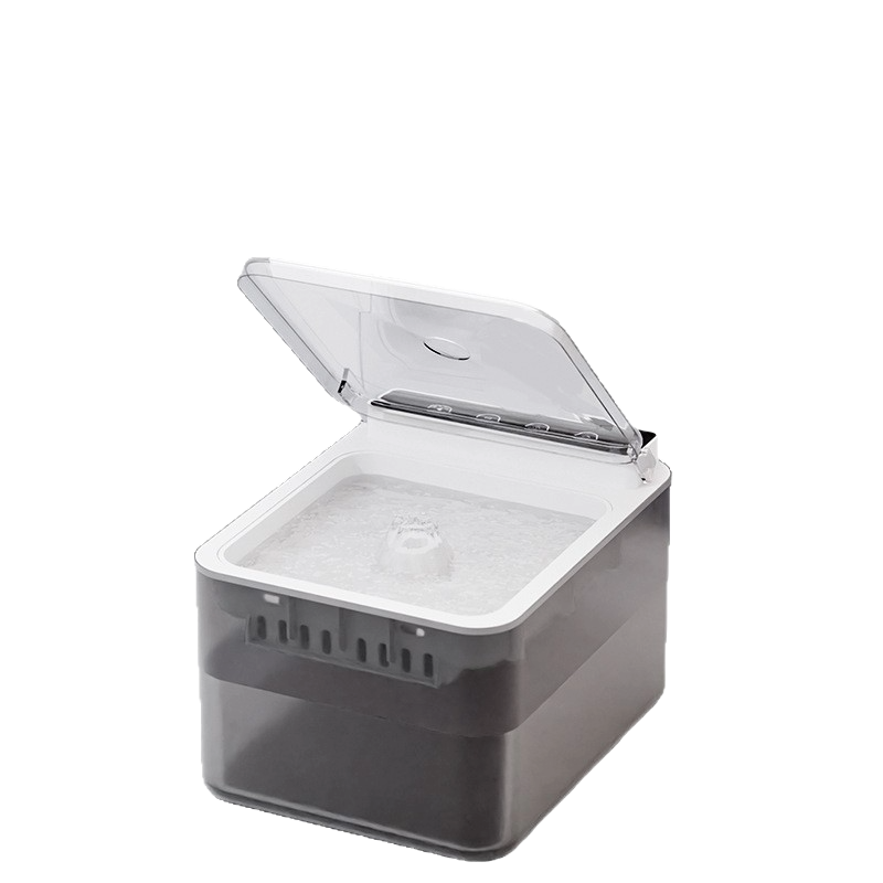 cat water fountain with moving water stream